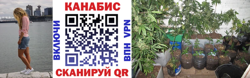 Виды наркотиков купить Ангарск Кокаин  Alpha PVP  мега tor  Марихуана  Меф мяу мяу  Гашиш 