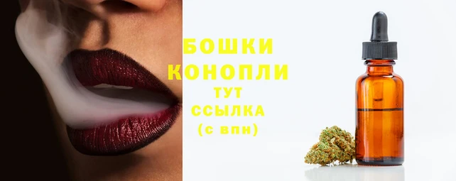PSILOCYBIN Нефтекумск