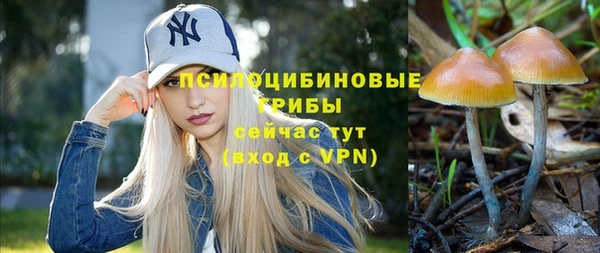ECSTASY Новозыбков