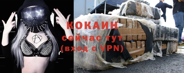 мяу мяу мука Новодвинск