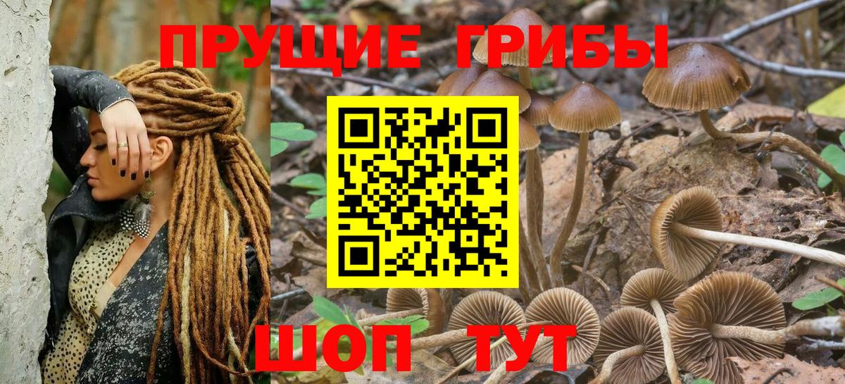 Галлюциногенные грибы мухоморы Ангарск